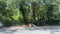 First image of Albany, St. Mary in Albany, St. Mary, Jamaica - property is For Sale