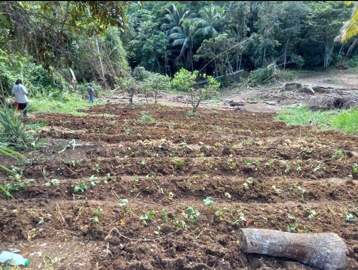 First image of Burton District Linstead in Bog Walk, St. Catherine, Jamaica - property is For Sale