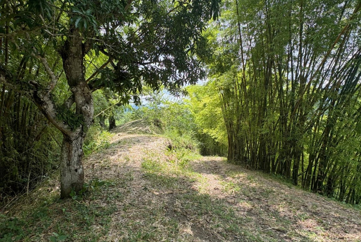 Eleventh image of Peters Retreat, Cavaliers in Cavaliers P.A., St. Andrew, Jamaica - property is For Sale
