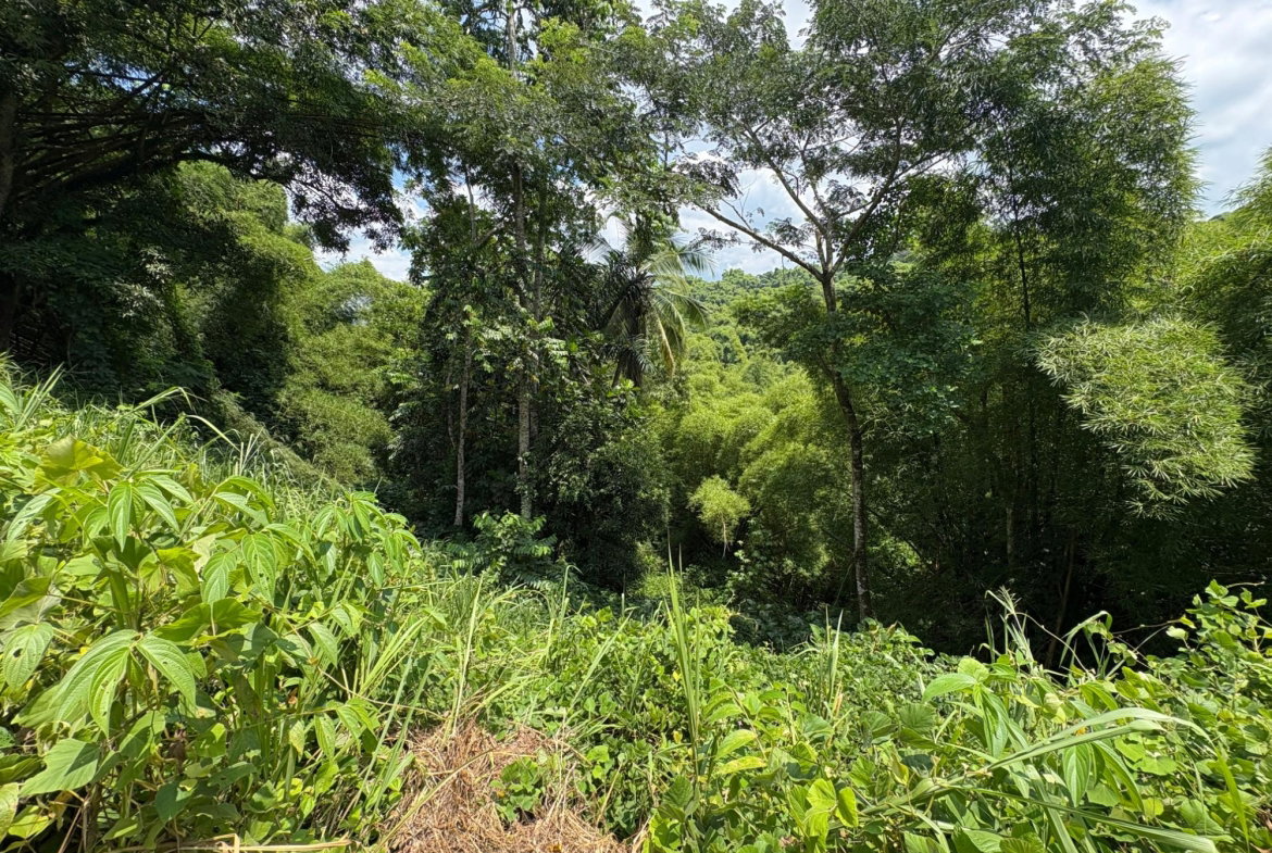 Twelfth image of Peters Retreat, Cavaliers in Cavaliers P.A., St. Andrew, Jamaica - property is For Sale