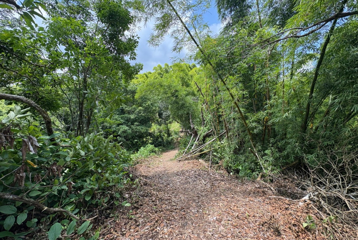 Thirteenth image of Peters Retreat, Cavaliers in Cavaliers P.A., St. Andrew, Jamaica - property is For Sale