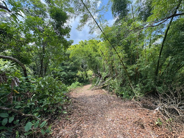 Thirteenth image of Peters Retreat, Cavaliers in Cavaliers P.A., St. Andrew, Jamaica - property is For Sale