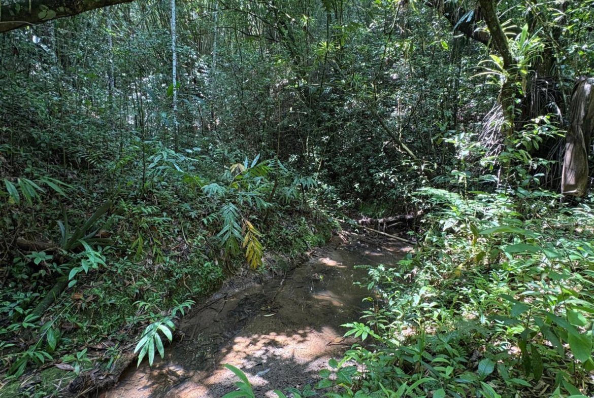 Fourteenth image of Peters Retreat, Cavaliers in Cavaliers P.A., St. Andrew, Jamaica - property is For Sale