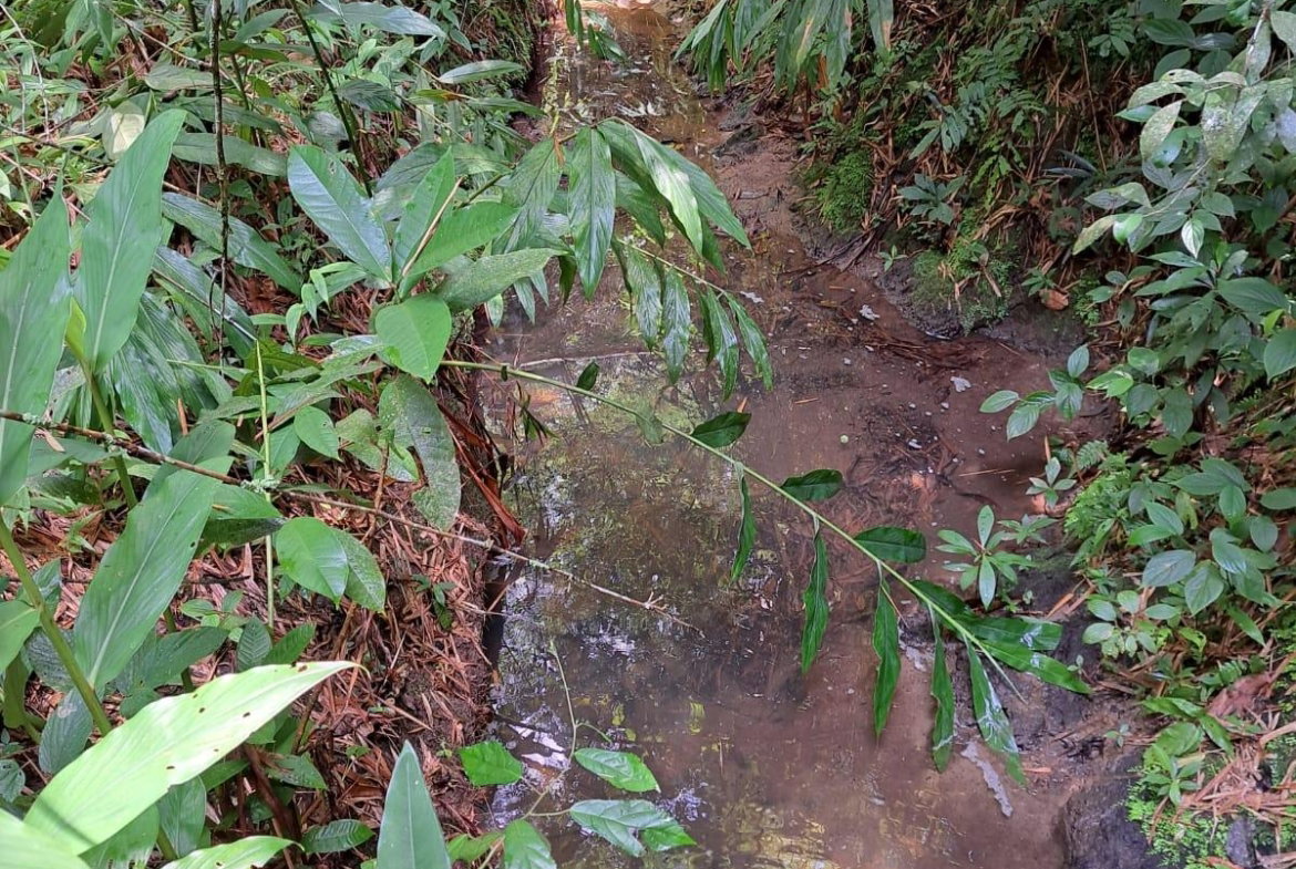 Fifteenth image of Peters Retreat, Cavaliers in Cavaliers P.A., St. Andrew, Jamaica - property is For Sale