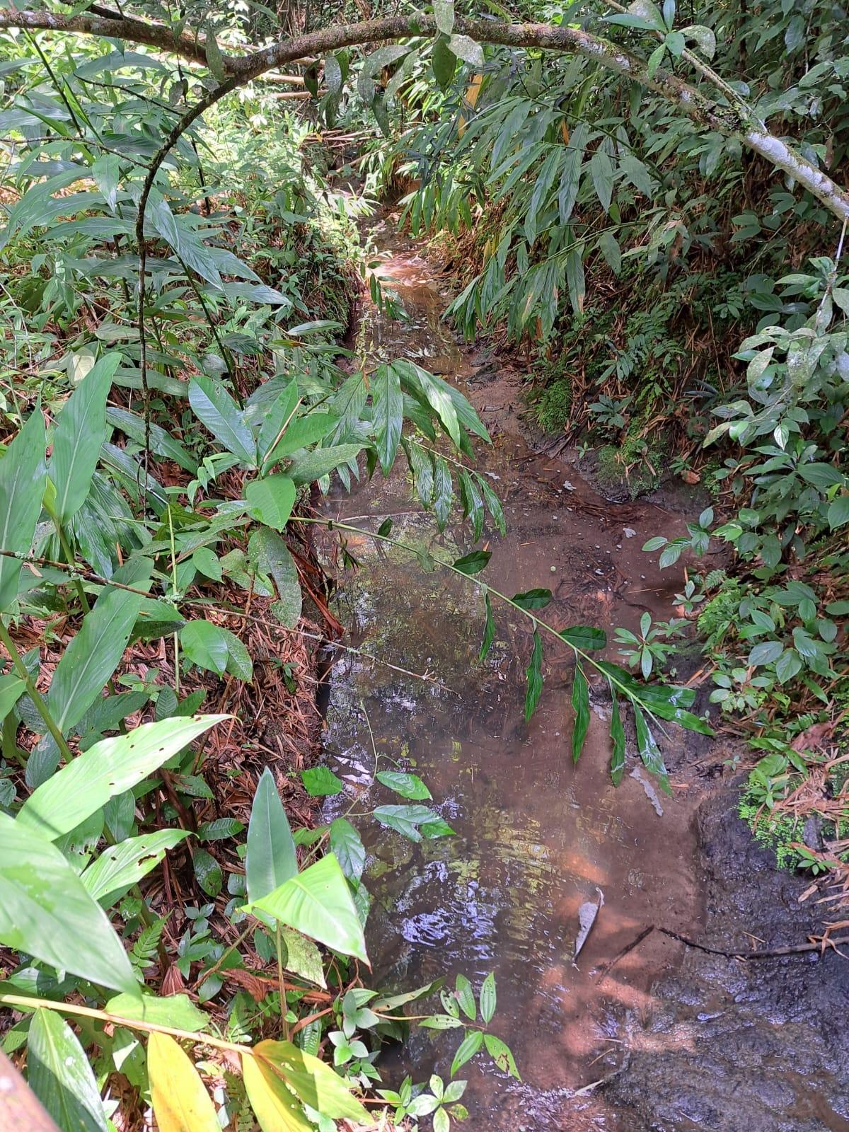 17.5-Acre-Residential-Lot-for-Sale-in-Cavaliers-St.-Andrew-Jamaica Fifteenth image of Peters Retreat, Cavaliers in Cavaliers P.A., St. Andrew, Jamaica - property is For Sale