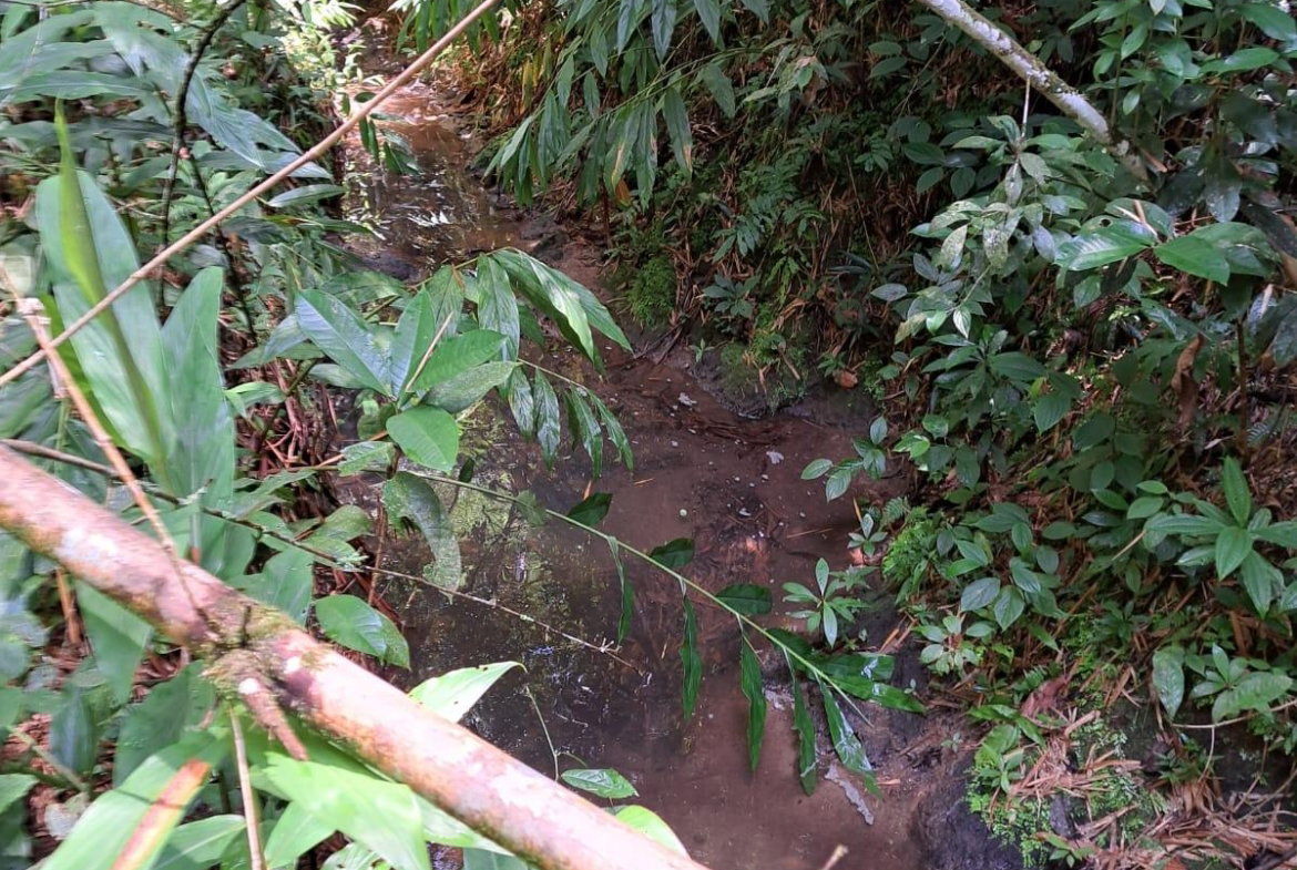 Sixteenth image of Peters Retreat, Cavaliers in Cavaliers P.A., St. Andrew, Jamaica - property is For Sale