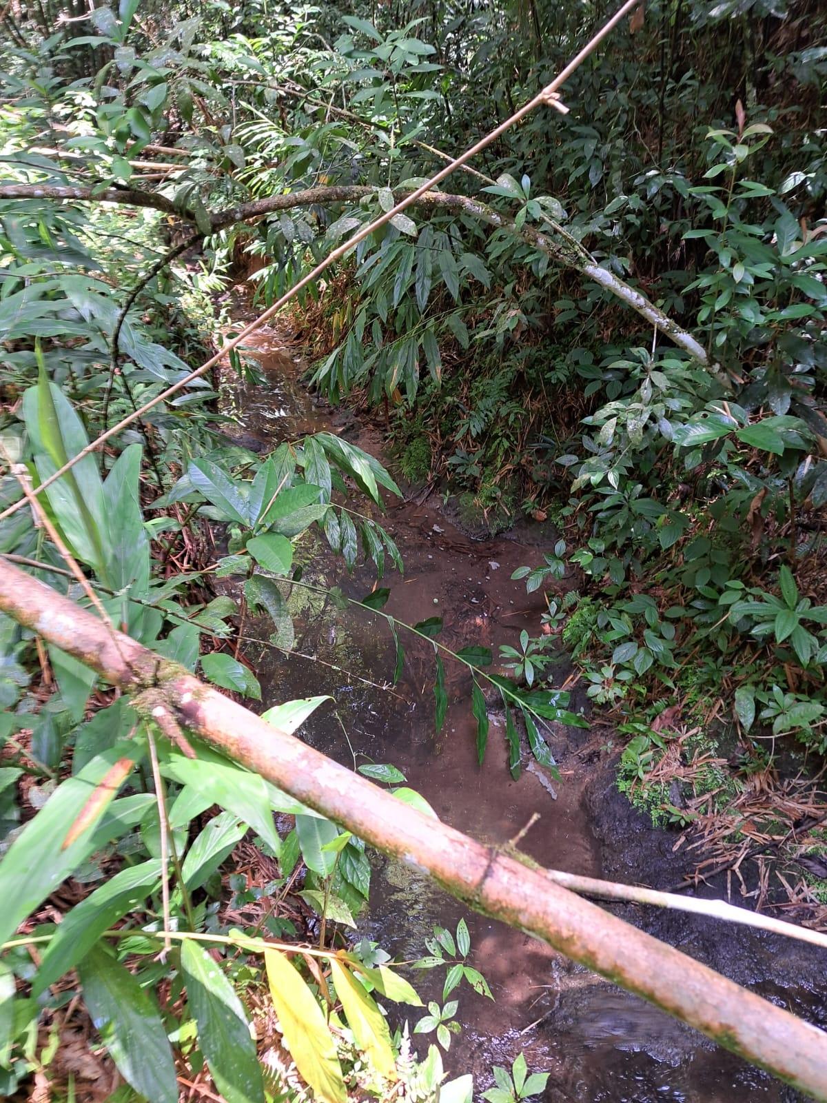 17.5-Acre-Residential-Lot-for-Sale-in-Cavaliers-St.-Andrew-Jamaica Sixteenth image of Peters Retreat, Cavaliers in Cavaliers P.A., St. Andrew, Jamaica - property is For Sale