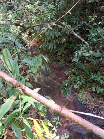 Sixteenth image of Peters Retreat, Cavaliers in Cavaliers P.A., St. Andrew, Jamaica - property is For Sale