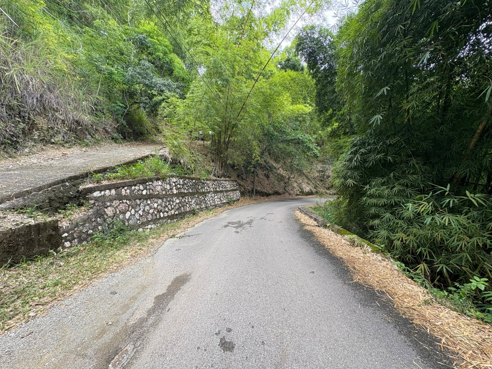 17.5-Acre-Residential-Lot-for-Sale-in-Cavaliers-St.-Andrew-Jamaica Fourth image of Peters Retreat, Cavaliers in Cavaliers P.A., St. Andrew, Jamaica - property is For Sale
