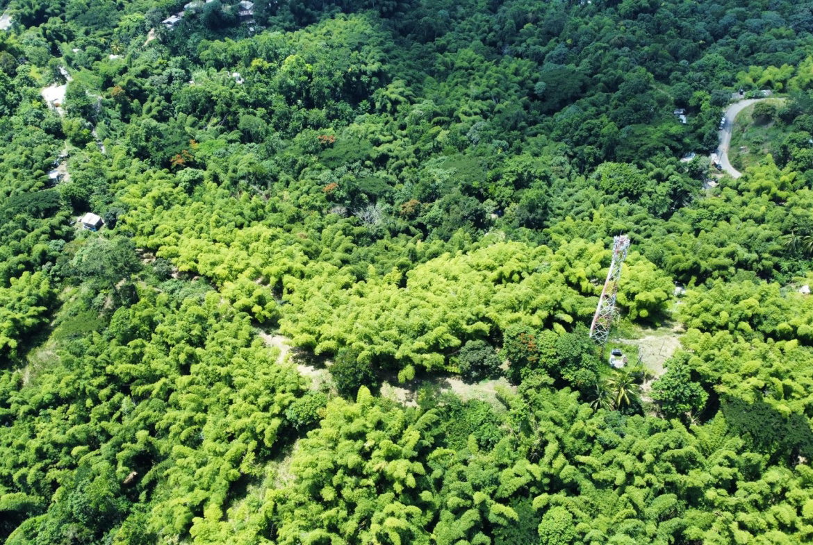 Fifth image of Peters Retreat, Cavaliers in Cavaliers P.A., St. Andrew, Jamaica - property is For Sale