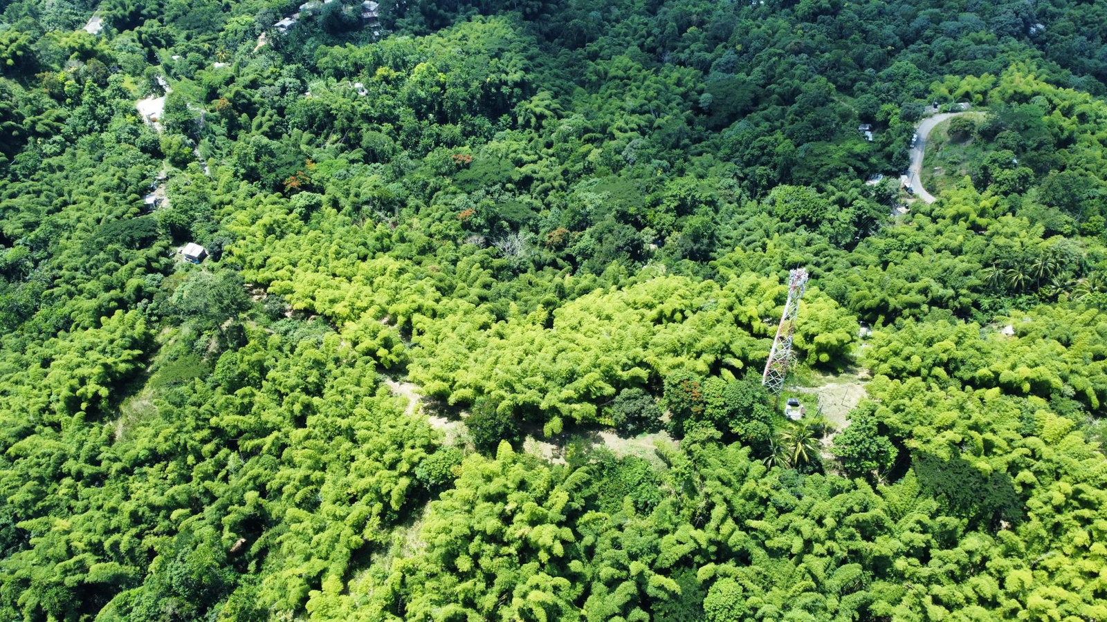 17.5-Acre-Residential-Lot-for-Sale-in-Cavaliers-St.-Andrew-Jamaica Fifth image of Peters Retreat, Cavaliers in Cavaliers P.A., St. Andrew, Jamaica - property is For Sale
