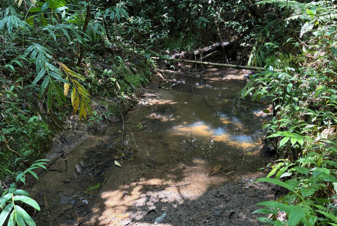 Sixth image of Peters Retreat, Cavaliers in Cavaliers P.A., St. Andrew, Jamaica - property is For Sale