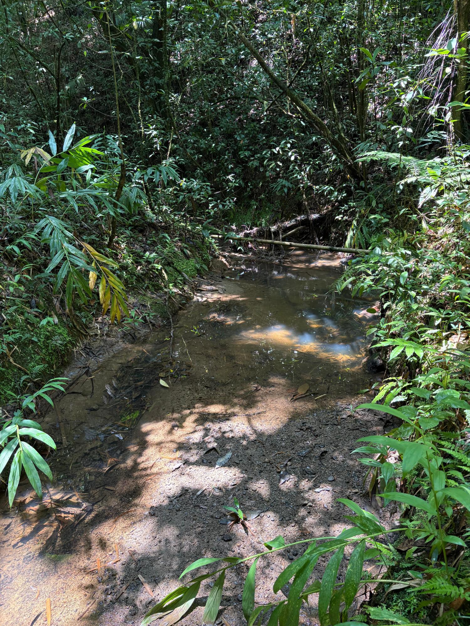 17.5-Acre-Residential-Lot-for-Sale-in-Cavaliers-St.-Andrew-Jamaica Sixth image of Peters Retreat, Cavaliers in Cavaliers P.A., St. Andrew, Jamaica - property is For Sale