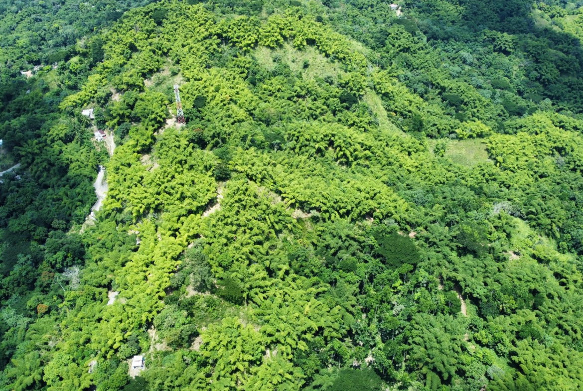 Seventh image of Peters Retreat, Cavaliers in Cavaliers P.A., St. Andrew, Jamaica - property is For Sale