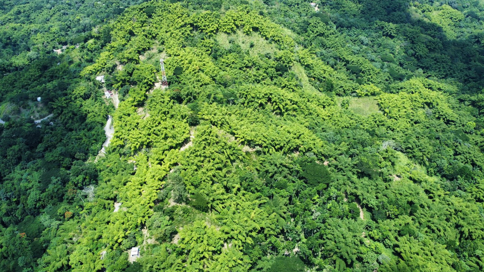 17.5-Acre-Residential-Lot-for-Sale-in-Cavaliers-St.-Andrew-Jamaica Seventh image of Peters Retreat, Cavaliers in Cavaliers P.A., St. Andrew, Jamaica - property is For Sale