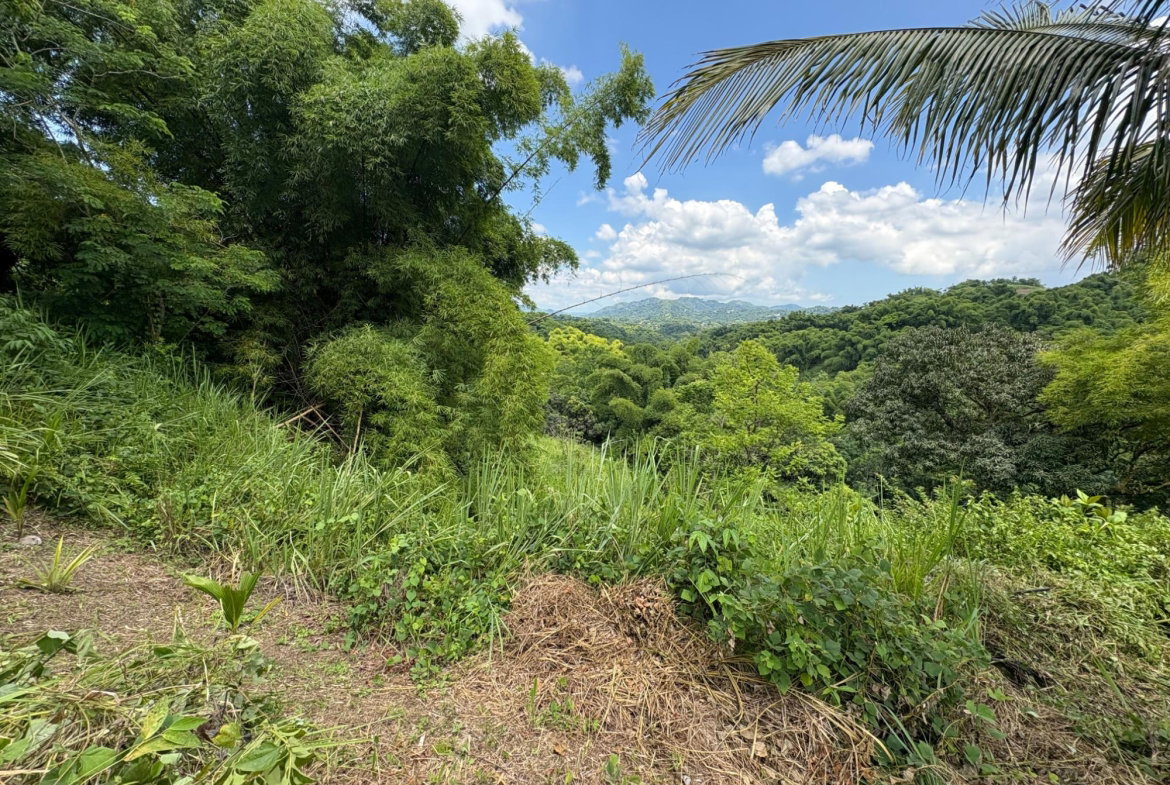 Eighth image of Peters Retreat, Cavaliers in Cavaliers P.A., St. Andrew, Jamaica - property is For Sale