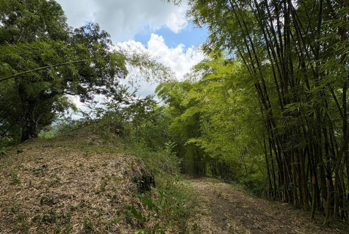 Ninth image of Peters Retreat, Cavaliers in Cavaliers P.A., St. Andrew, Jamaica - property is For Sale