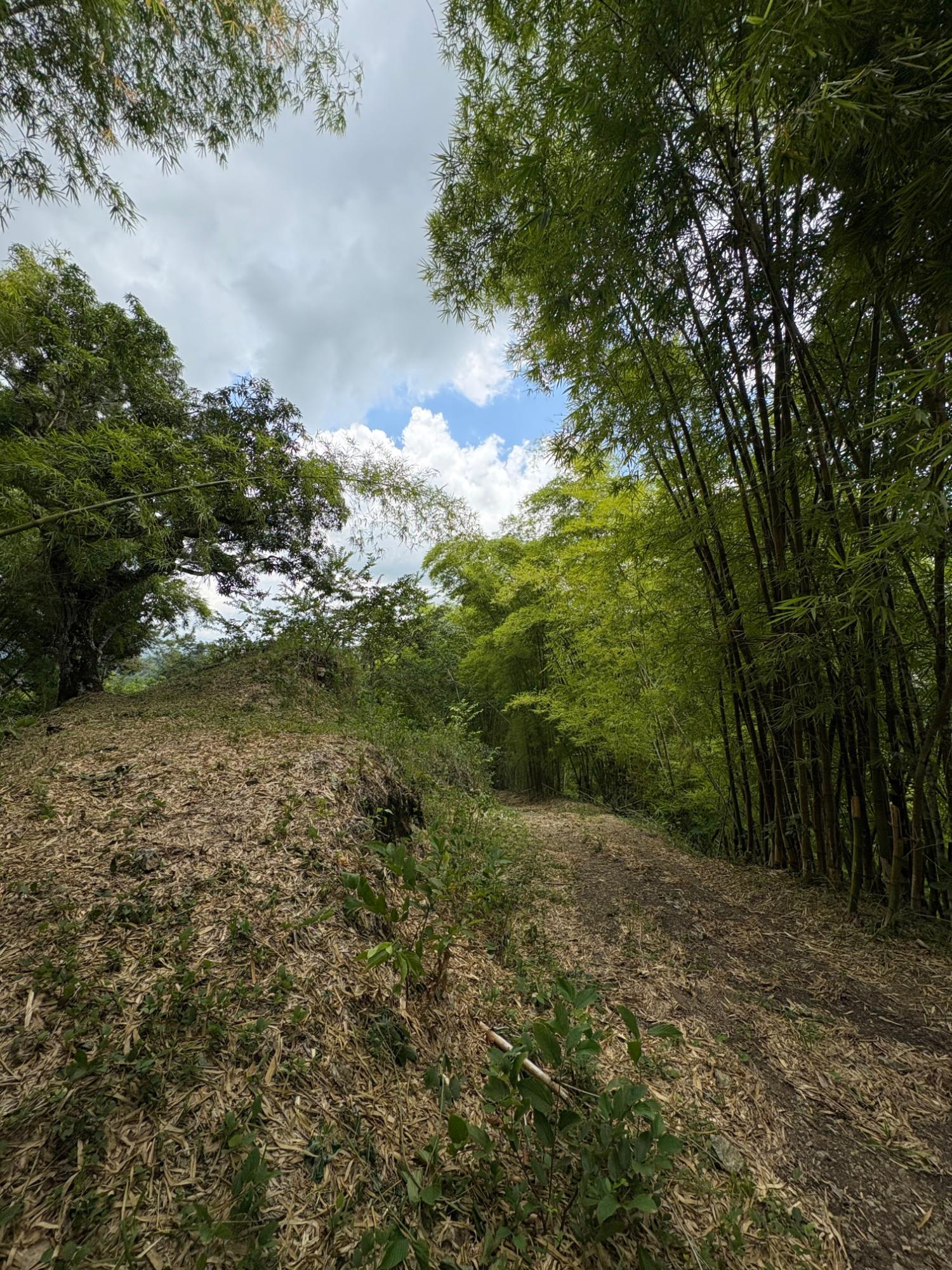 17.5-Acre-Residential-Lot-for-Sale-in-Cavaliers-St.-Andrew-Jamaica Ninth image of Peters Retreat, Cavaliers in Cavaliers P.A., St. Andrew, Jamaica - property is For Sale