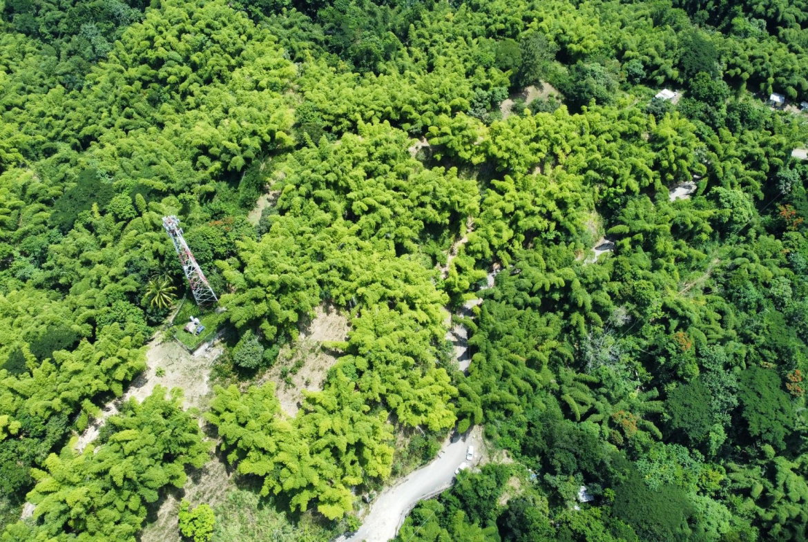 Tenth image of Peters Retreat, Cavaliers in Cavaliers P.A., St. Andrew, Jamaica - property is For Sale