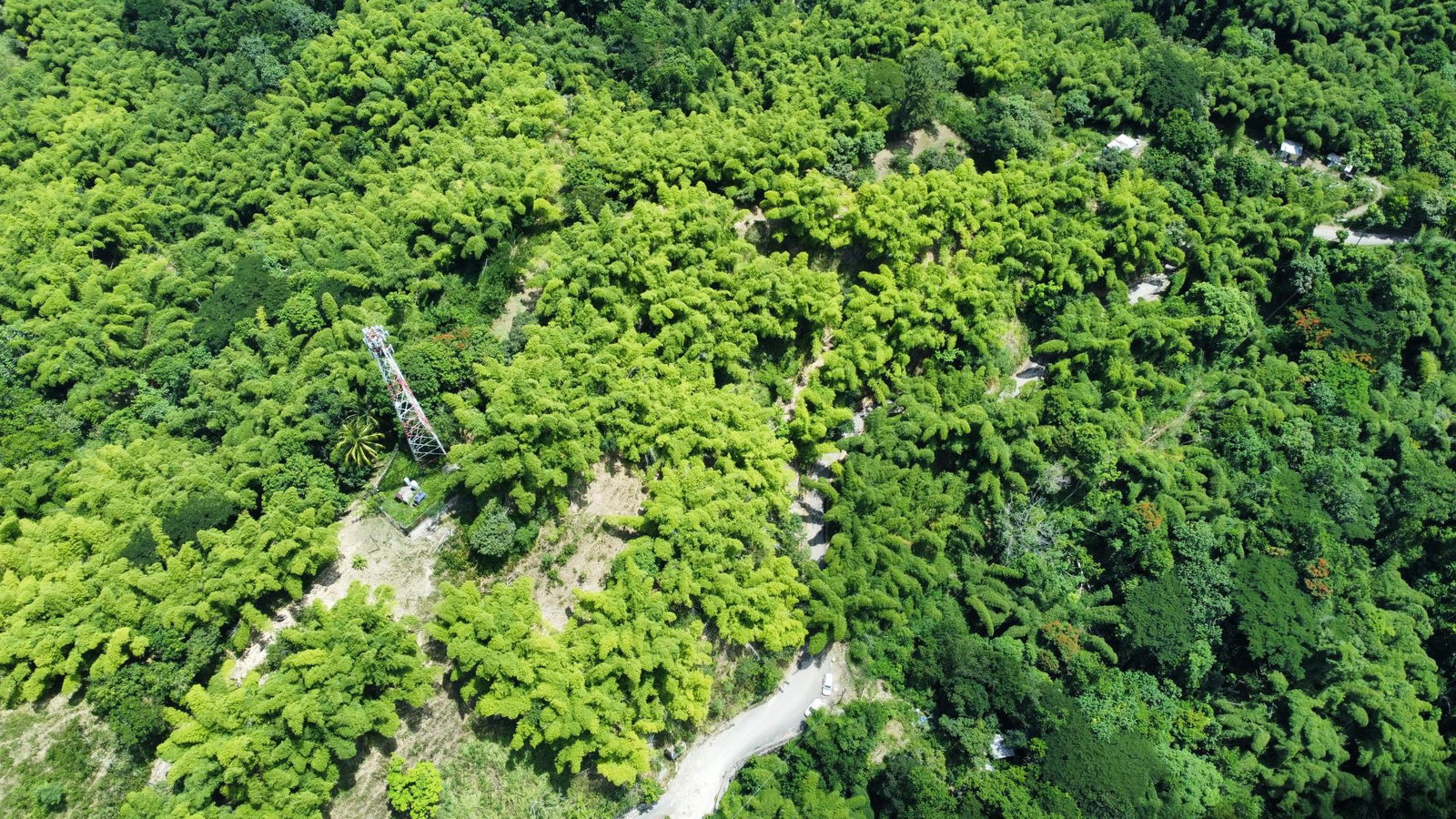 17.5-Acre-Residential-Lot-for-Sale-in-Cavaliers-St.-Andrew-Jamaica Tenth image of Peters Retreat, Cavaliers in Cavaliers P.A., St. Andrew, Jamaica - property is For Sale