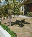 First image of 330- Draxhall Manor in Drax Hall Estate, St. Ann, Jamaica - property is For Rent