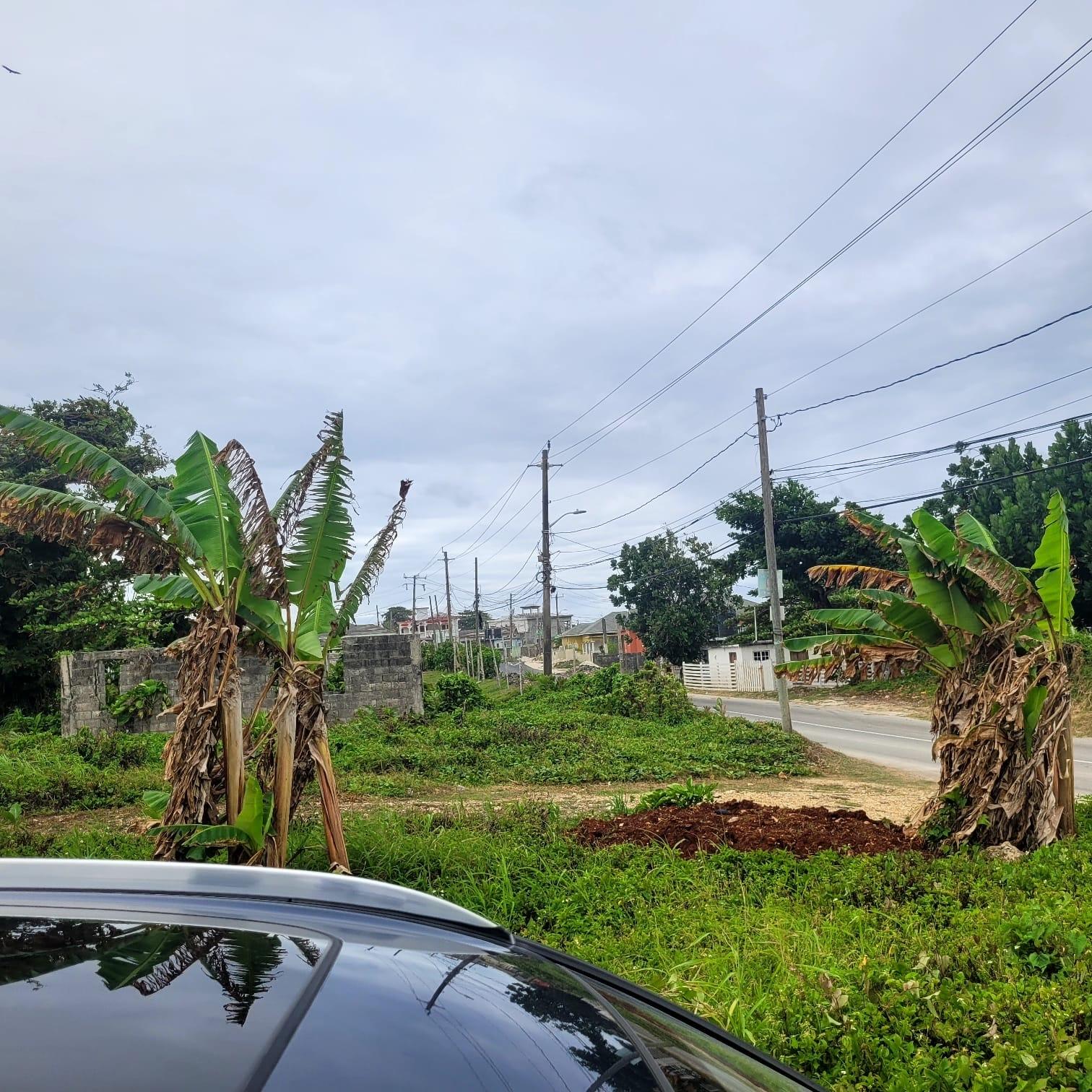 Twenty-First image of Elmwood, Long Bay in Long Bay, Portland, Jamaica - property is For Sale