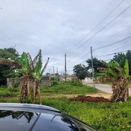 Twenty-First image of Elmwood, Long Bay in Long Bay, Portland, Jamaica - property is For Sale
