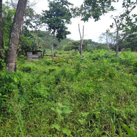 Twenty-Fifth image of Elmwood, Long Bay in Long Bay, Portland, Jamaica - property is For Sale