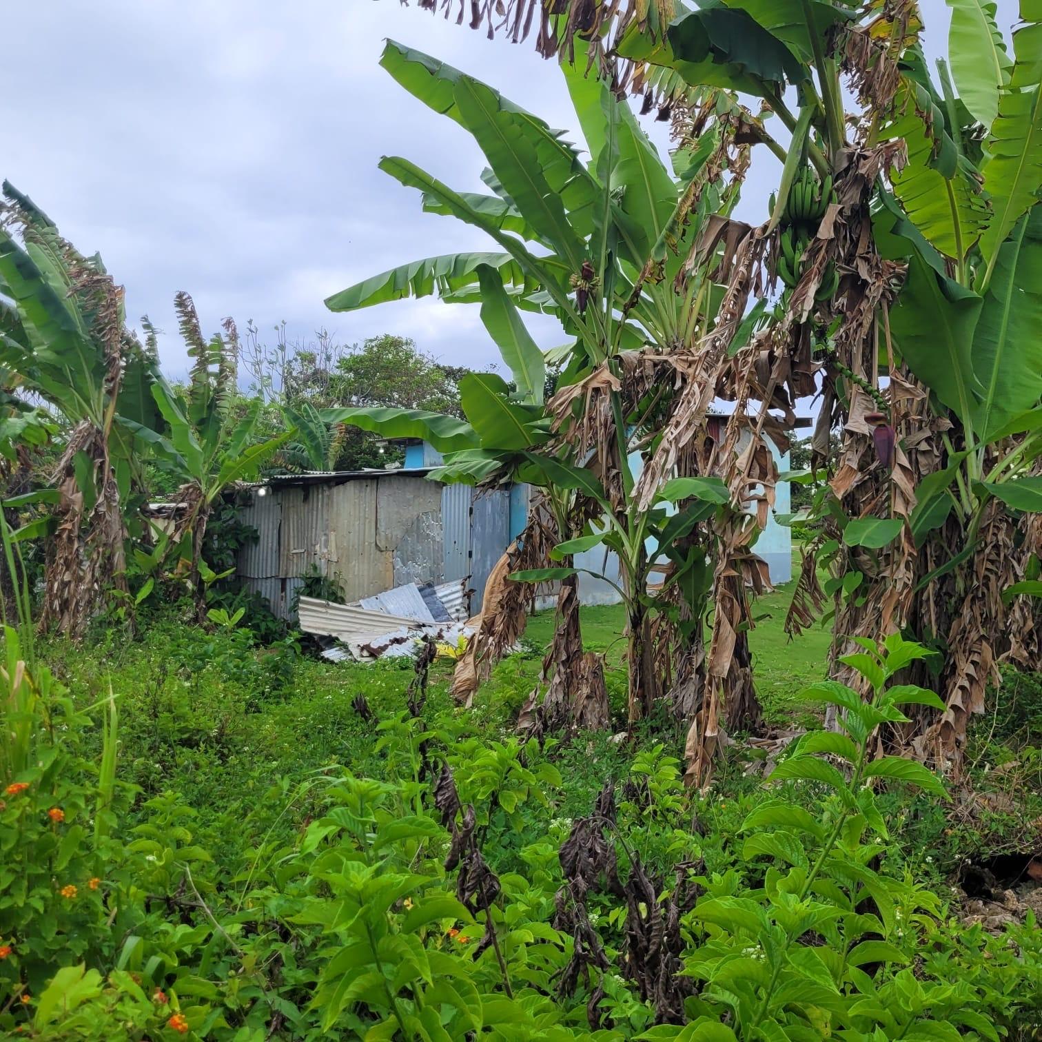 Twenty-Eighth image of Elmwood, Long Bay in Long Bay, Portland, Jamaica - property is For Sale