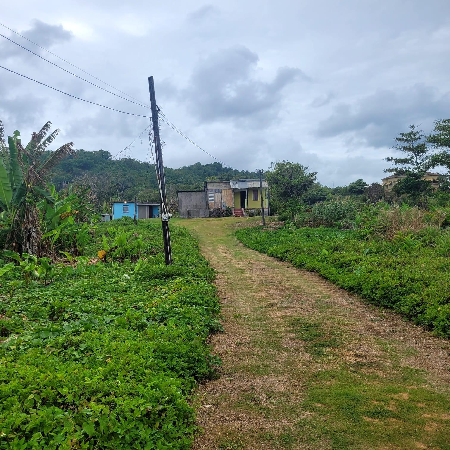Eighth image of Elmwood, Long Bay in Long Bay, Portland, Jamaica - property is For Sale