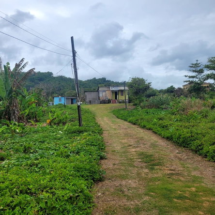 Eighth image of Elmwood, Long Bay in Long Bay, Portland, Jamaica - property is For Sale