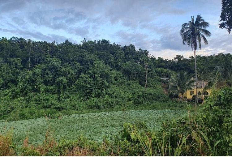 Third image of Part of Mount Olivet in Scholefield, St. Elizabeth, Jamaica - property is For Sale