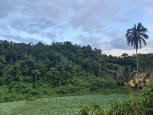 First image of Part of Mount Olivet in Scholefield, St. Elizabeth, Jamaica - property is For Sale