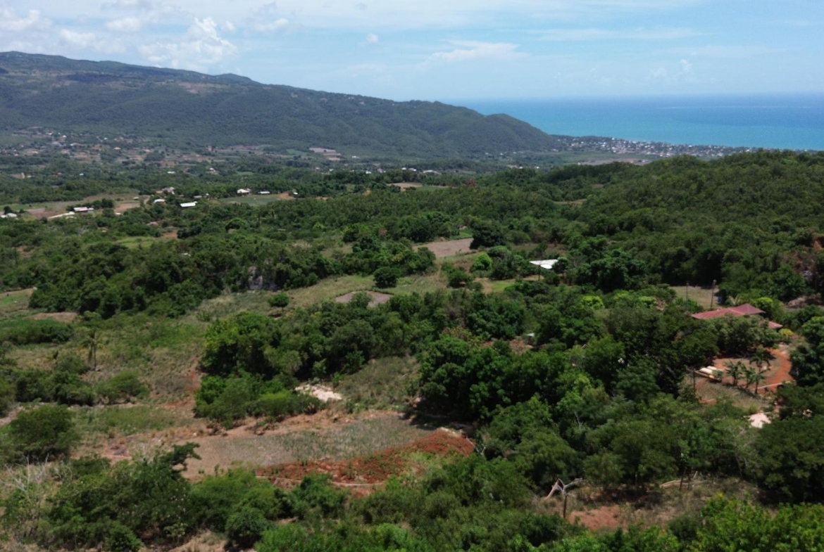 Eleventh image of Comma Pen in Comma Pen, St. Elizabeth, Jamaica - property is For Sale