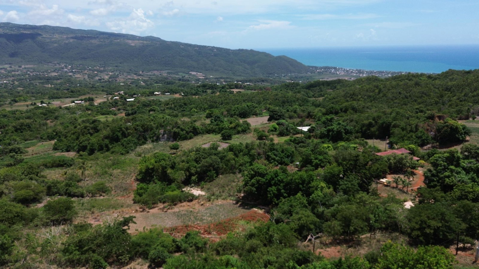 Eleventh image of Comma Pen in Comma Pen, St. Elizabeth, Jamaica - property is For Sale