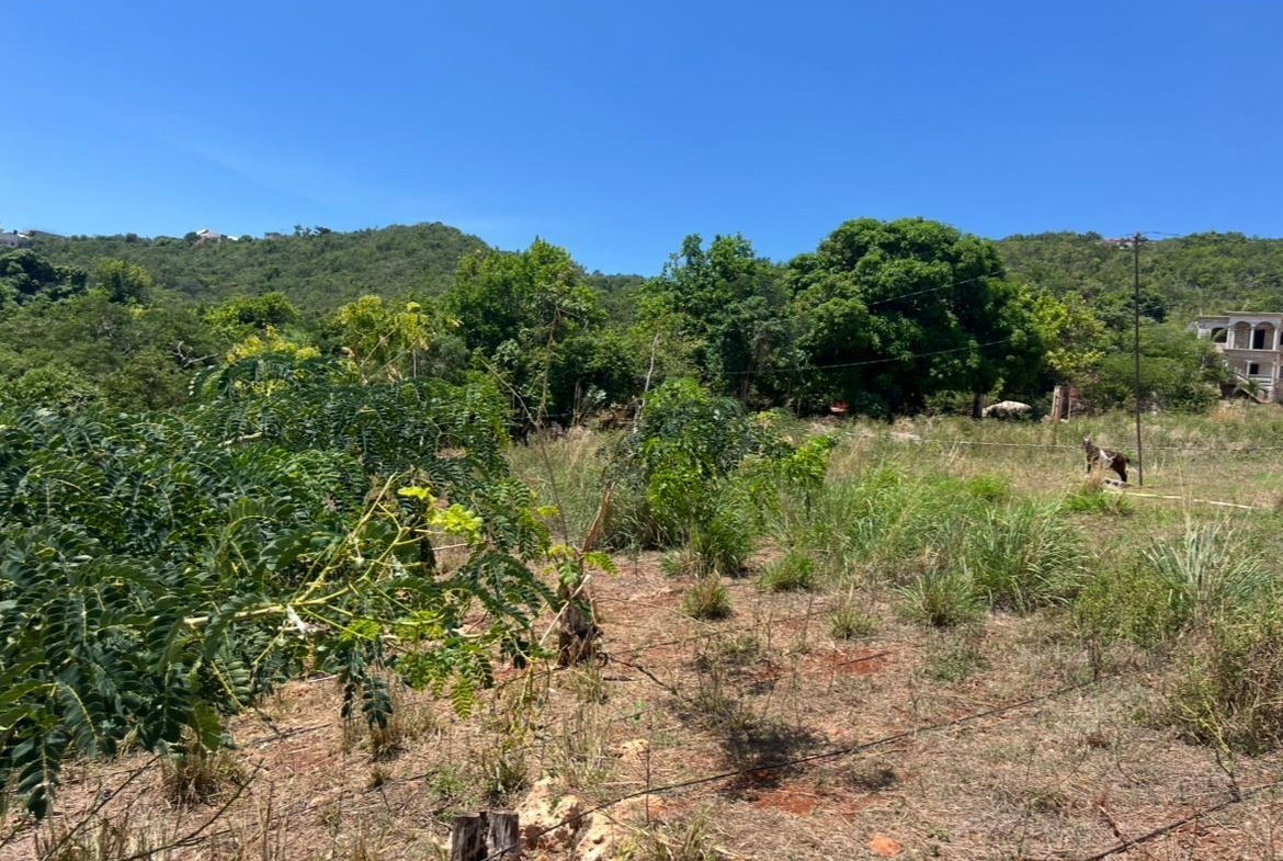 Third image of Comma Pen in Comma Pen, St. Elizabeth, Jamaica - property is For Sale