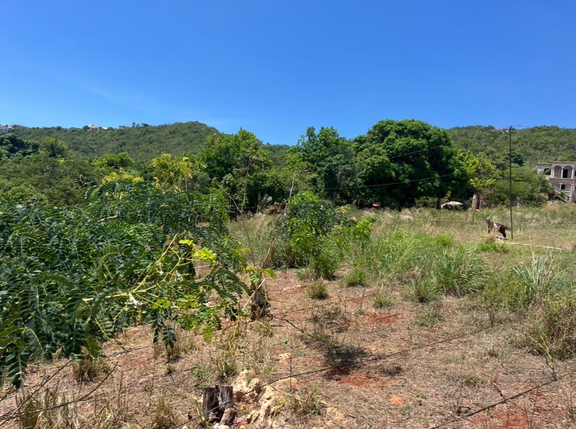 Third image of Comma Pen in Comma Pen, St. Elizabeth, Jamaica - property is For Sale