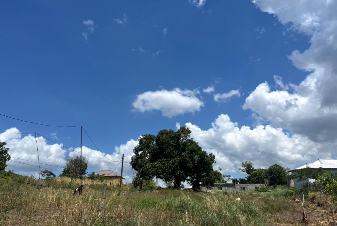 Fourth image of Comma Pen in Comma Pen, St. Elizabeth, Jamaica - property is For Sale