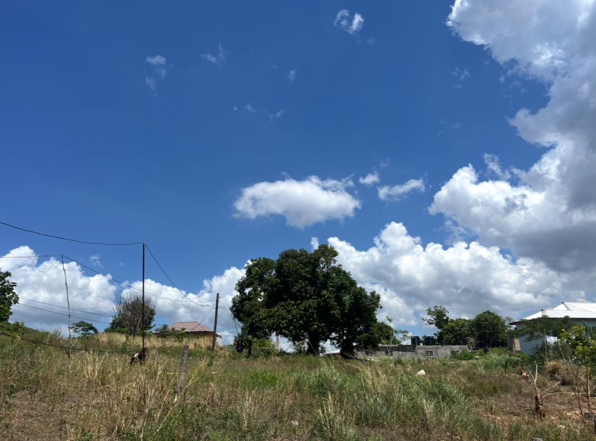 Fourth image of Comma Pen in Comma Pen, St. Elizabeth, Jamaica - property is For Sale