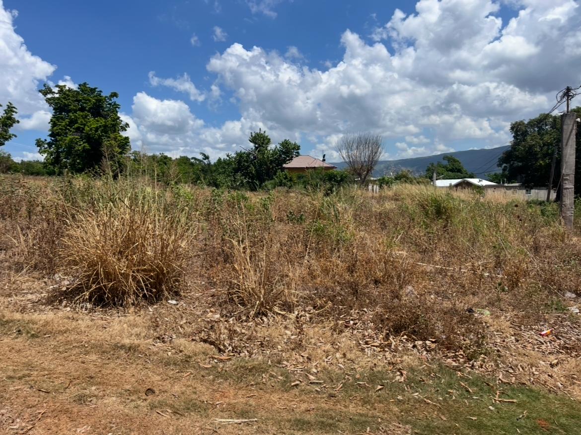 Fifth image of Comma Pen in Comma Pen, St. Elizabeth, Jamaica - property is For Sale