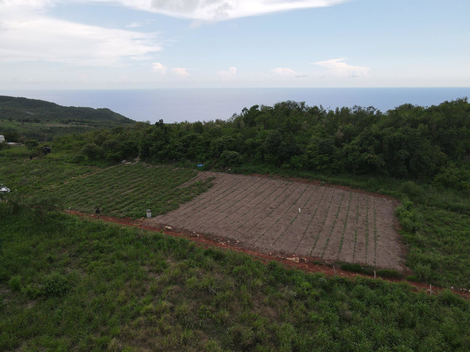 Fourth image of Ballards Valley, Junction in Ballards Valley, St. Elizabeth, Jamaica - property is For Sale