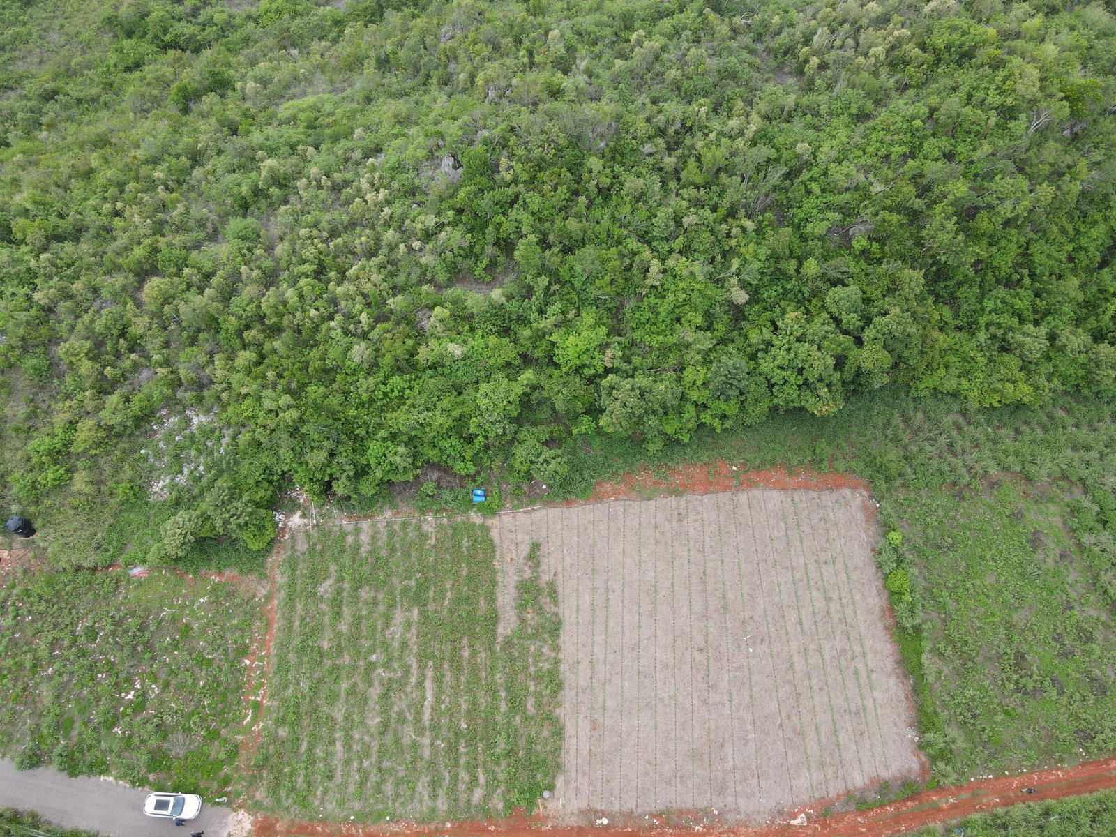Fifth image of Ballards Valley, Junction in Ballards Valley, St. Elizabeth, Jamaica - property is For Sale