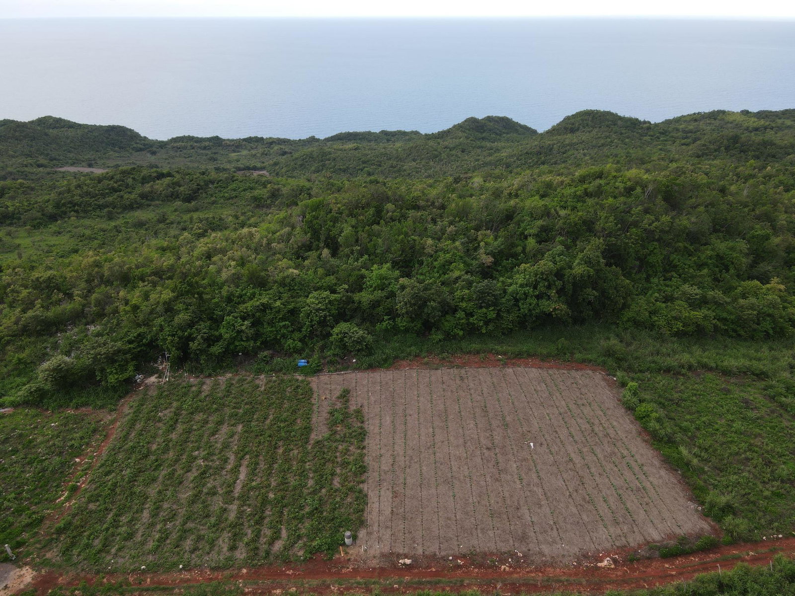 Eighth image of Ballards Valley, Junction in Ballards Valley, St. Elizabeth, Jamaica - property is For Sale