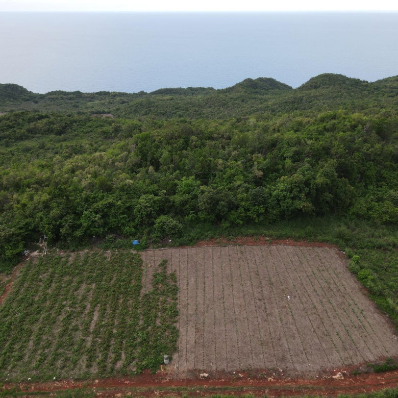 First image of Ballards Valley, Junction in Ballards Valley, St. Elizabeth, Jamaica - property is For Sale