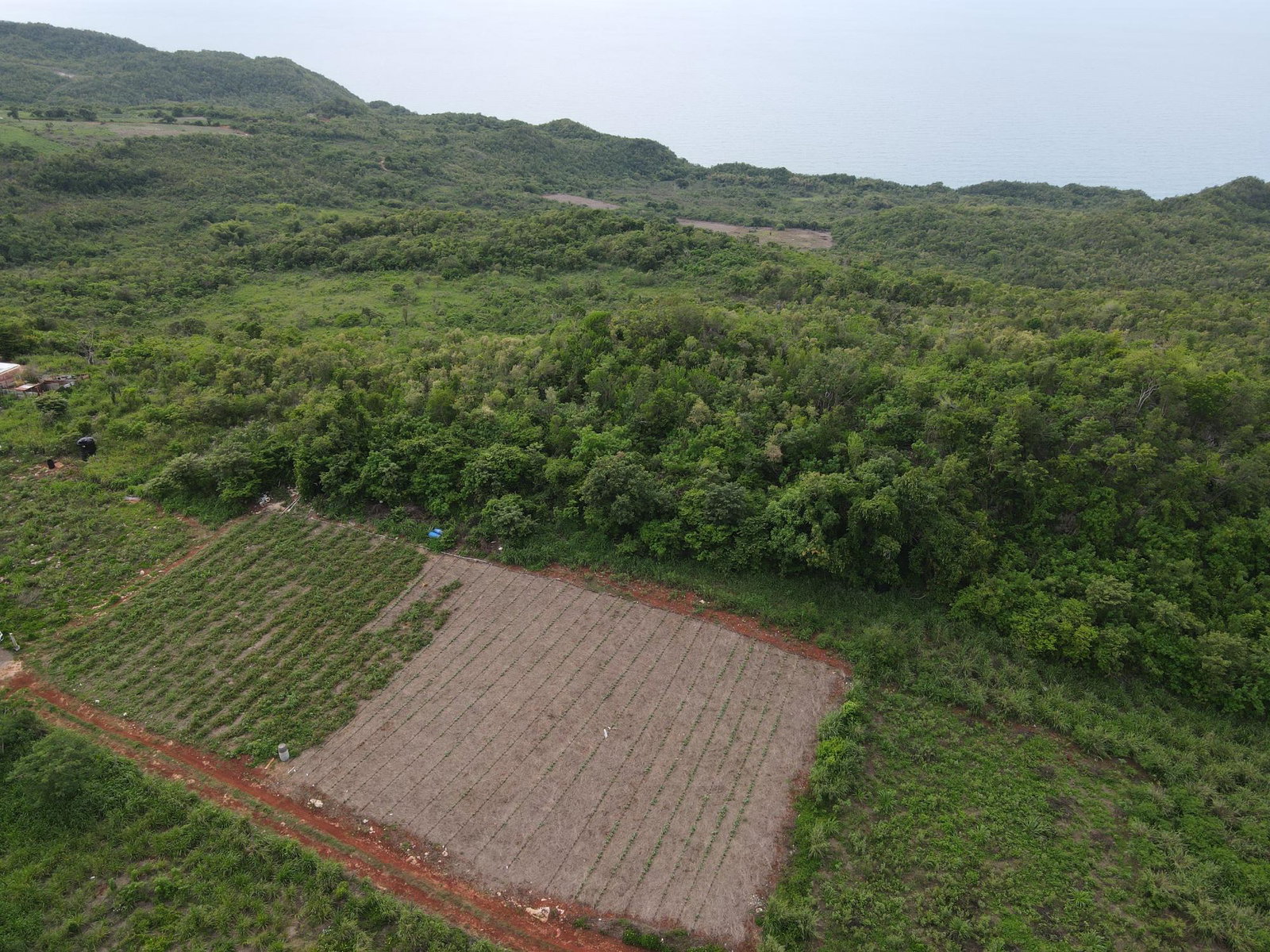 Ninth image of Ballards Valley, Junction in Ballards Valley, St. Elizabeth, Jamaica - property is For Sale