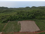 First image of Ballards Valley, Junction in Ballards Valley, St. Elizabeth, Jamaica - property is For Sale
