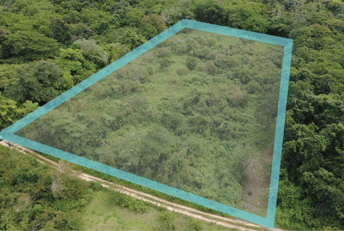 Second image of 123 Oxford, Balaclava, St. el in Balaclava, St. Elizabeth, Jamaica - property is For Sale