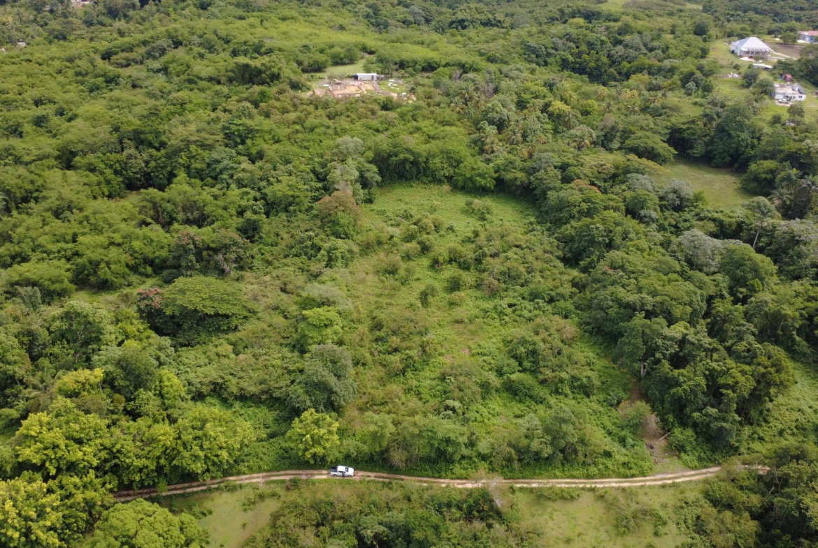 Seventeenth image of 123 Oxford, Balaclava, St. el in Balaclava, St. Elizabeth, Jamaica - property is For Sale