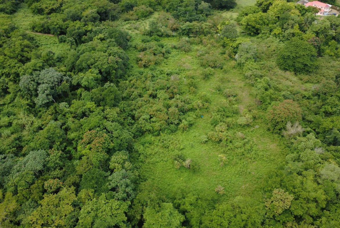 Third image of 123 Oxford, Balaclava, St. el in Balaclava, St. Elizabeth, Jamaica - property is For Sale