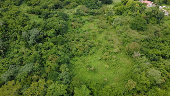 Third image of 123 Oxford, Balaclava, St. el in Balaclava, St. Elizabeth, Jamaica - property is For Sale